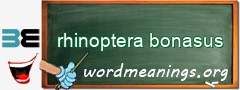 WordMeaning blackboard for rhinoptera bonasus